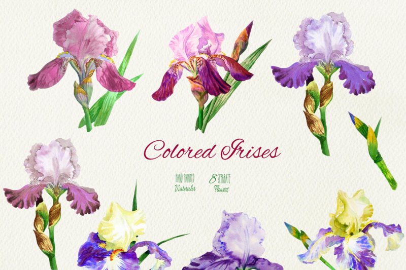 colored-irises