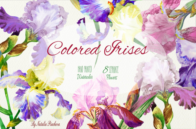 colored-irises
