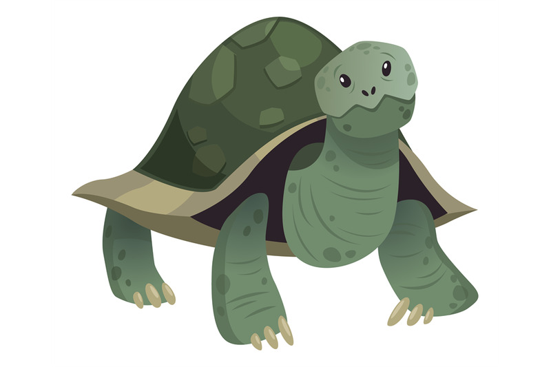 cute-turtle-big-green-shell-sea-animal