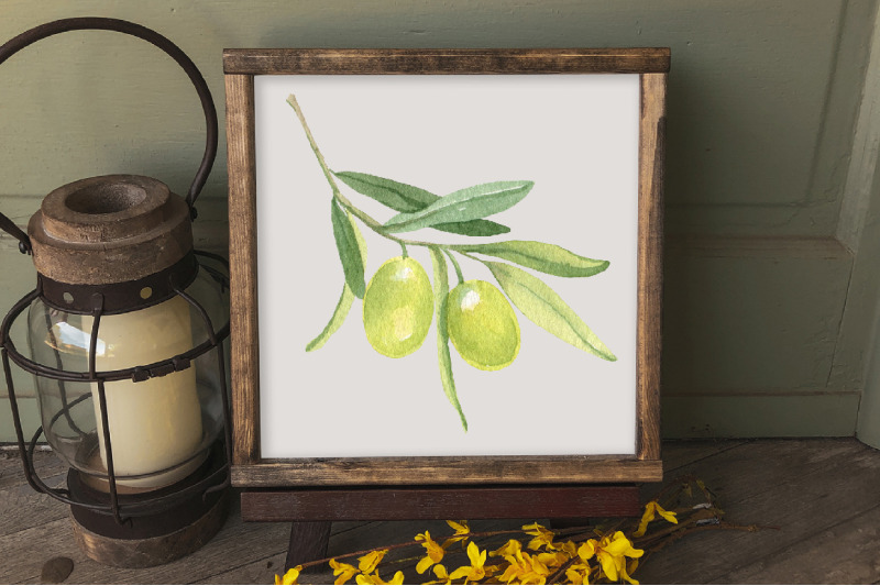 watercolor-olive-clipart-bundle-greenery-foliage-png