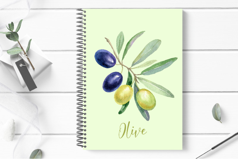 watercolor-olive-clipart-bundle-greenery-foliage-png