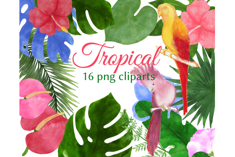 watercolor-tropical-clipart-flowers-leaves-parrots