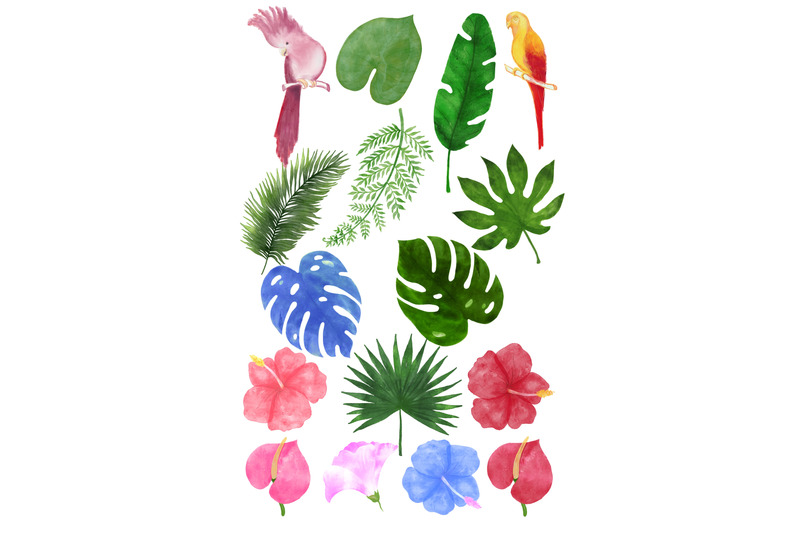 watercolor-tropical-clipart-flowers-leaves-parrots