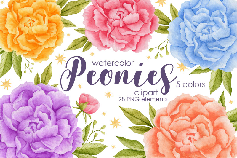 watercolor-peonies-clipart