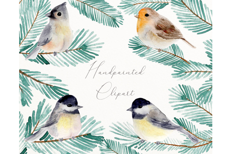 watercolor-winter-bird-pine-branch-clipart-c28