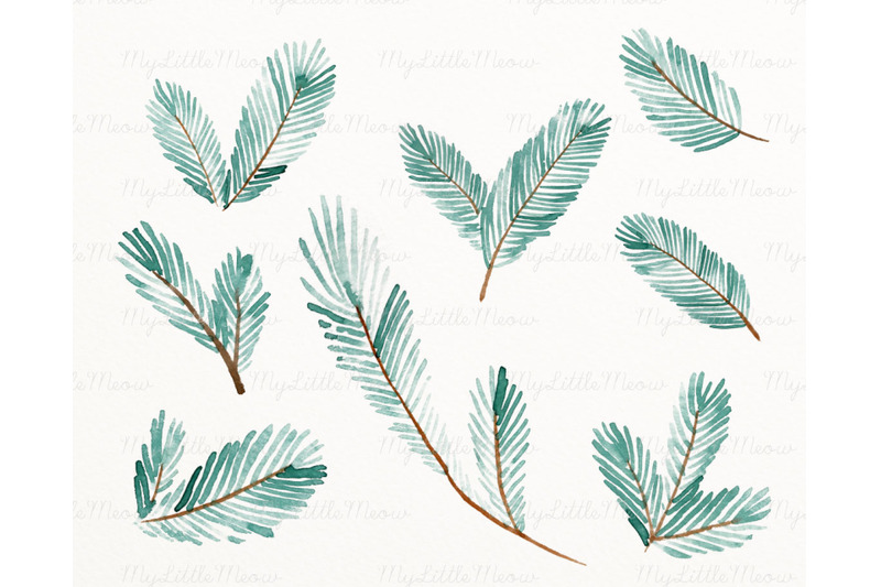 watercolor-winter-bird-pine-branch-clipart-c28