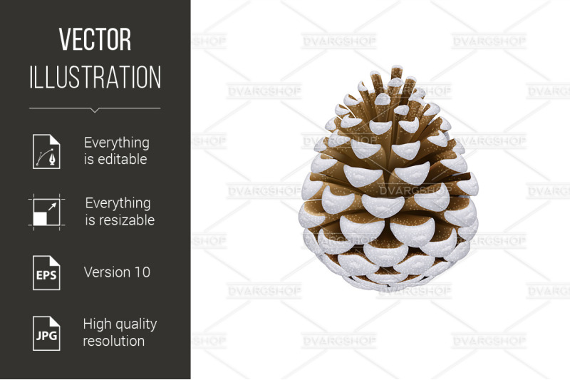 pine-cone