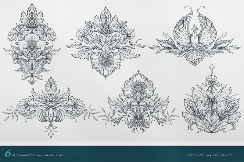 flower-anatomy-vector-collection