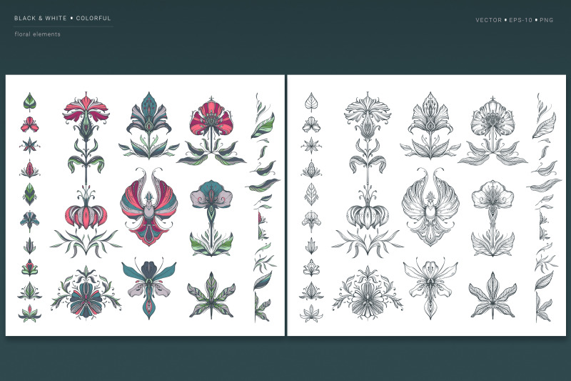 flower-anatomy-vector-collection