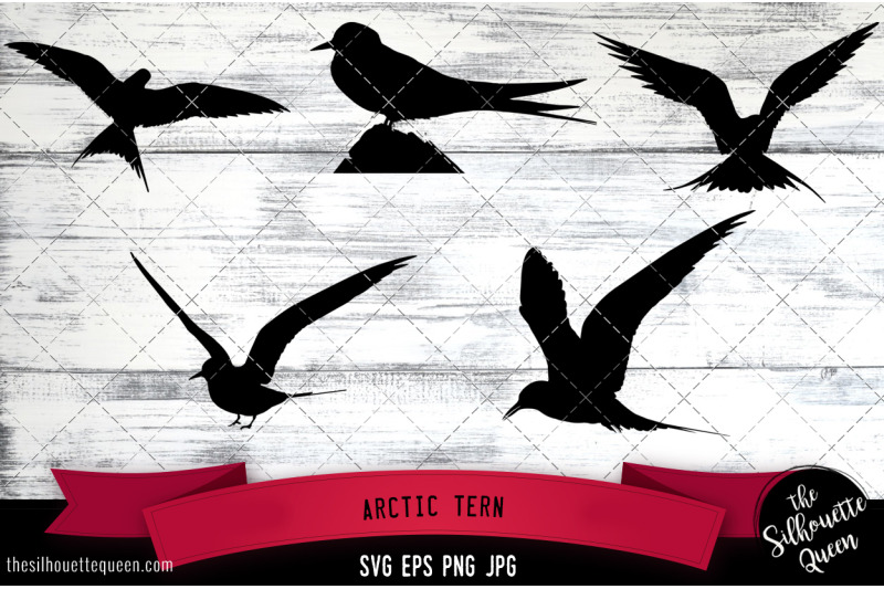 arctic-tern-silhouette-vector-svg