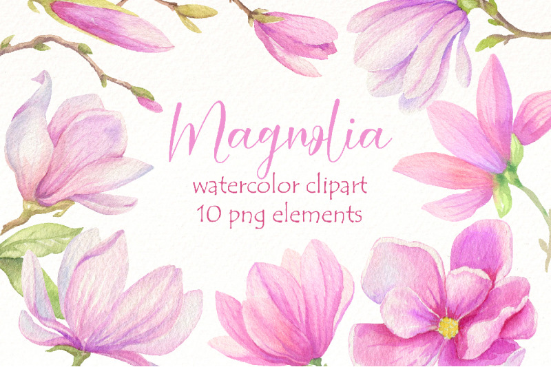 watercolor-magnolia-clipart-bundle-spring-pink-flowers-png