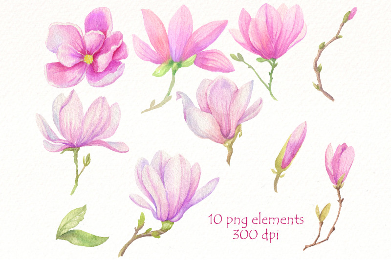 watercolor-magnolia-clipart-bundle-spring-pink-flowers-png