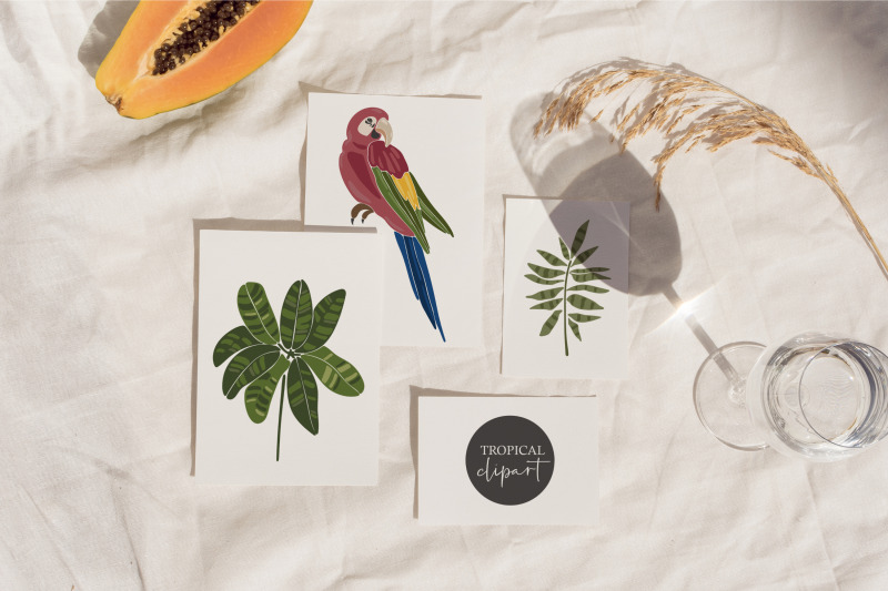 tropical-leaves-clipart-abstract-parrots-clipart-boho-tropical-png