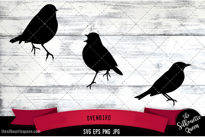 ovenbird-silhouette-vector-svg