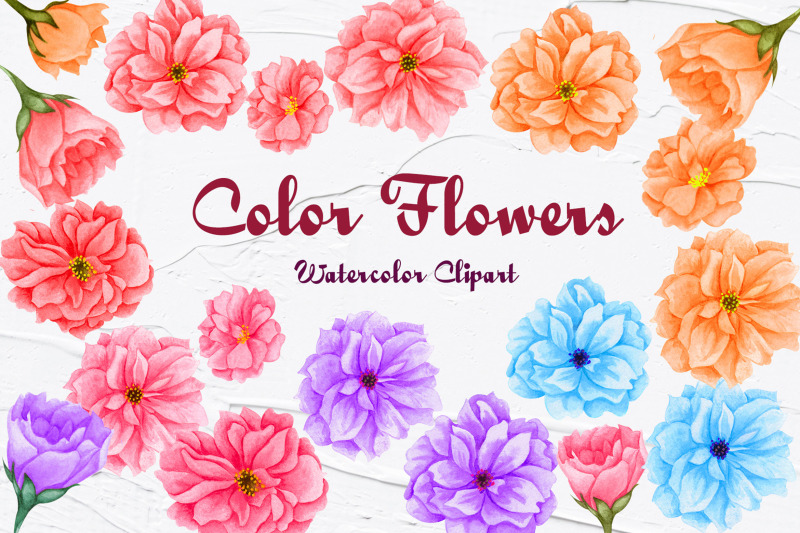 sakura-flowers-watercolor-clipart