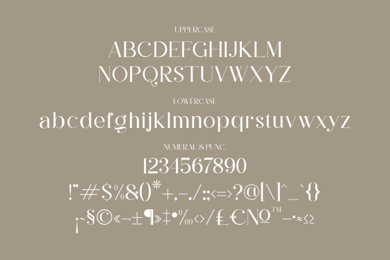 rihena-typeface