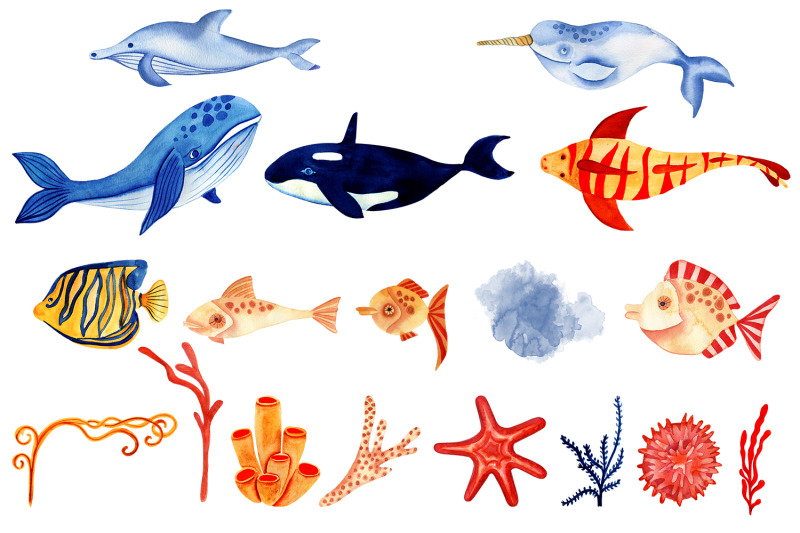 watercolor-sea-fish-clipart-marine-clipart