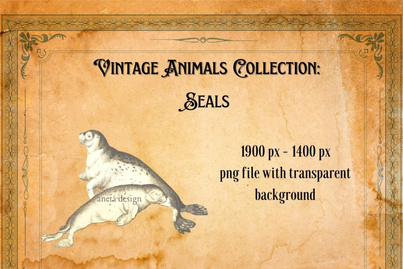 vintage-seals-illustration