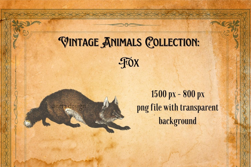 vintage-fox-illustration