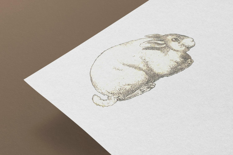 vintage-rabbit-illustration