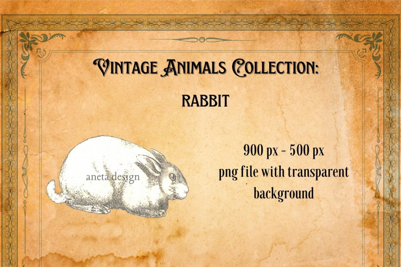 vintage-rabbit-illustration