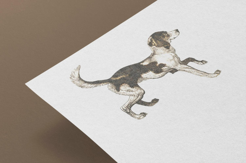 vintage-dog-illustration