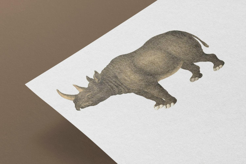 vintage-rhinoceros-illustration