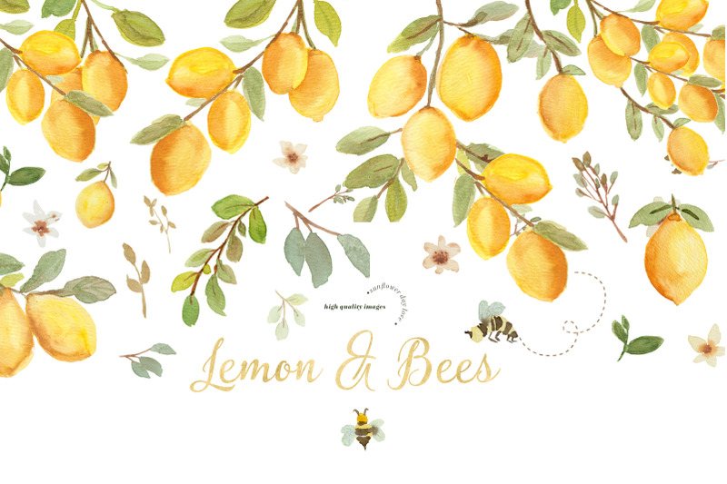 lemon-and-bees-watercolor-clipart