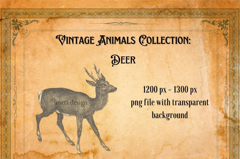 vintage-deer-illustration