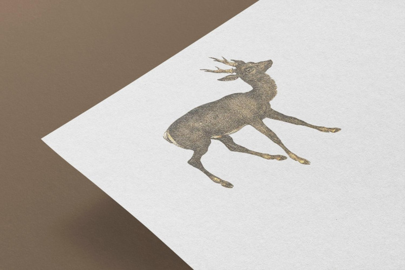 vintage-deer-illustration