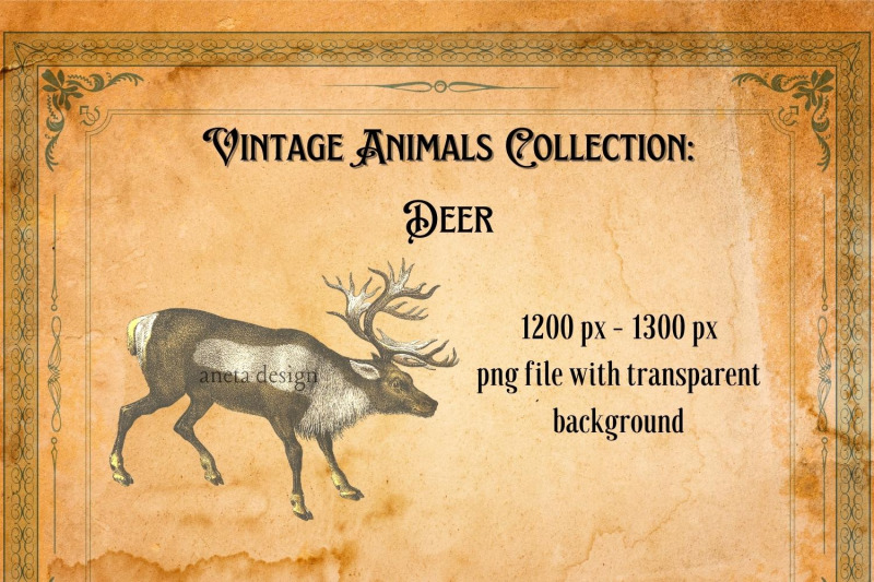 vintage-deer-illustration