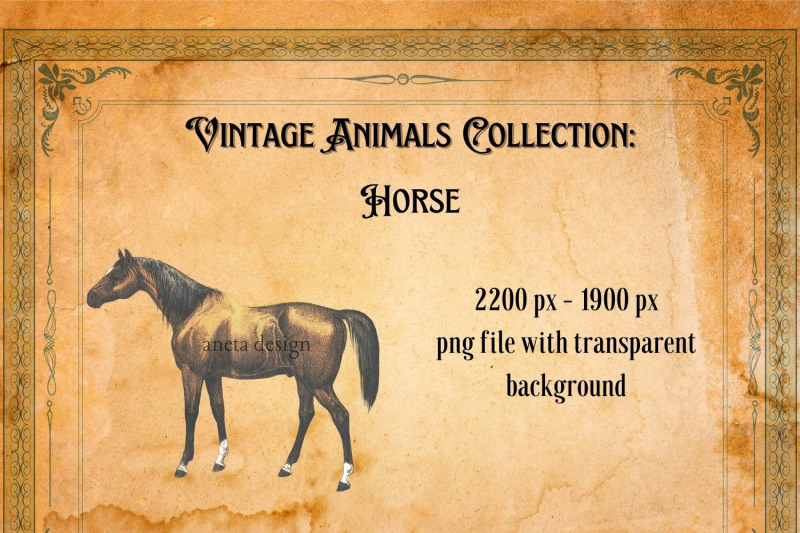 vintage-horse-illustration