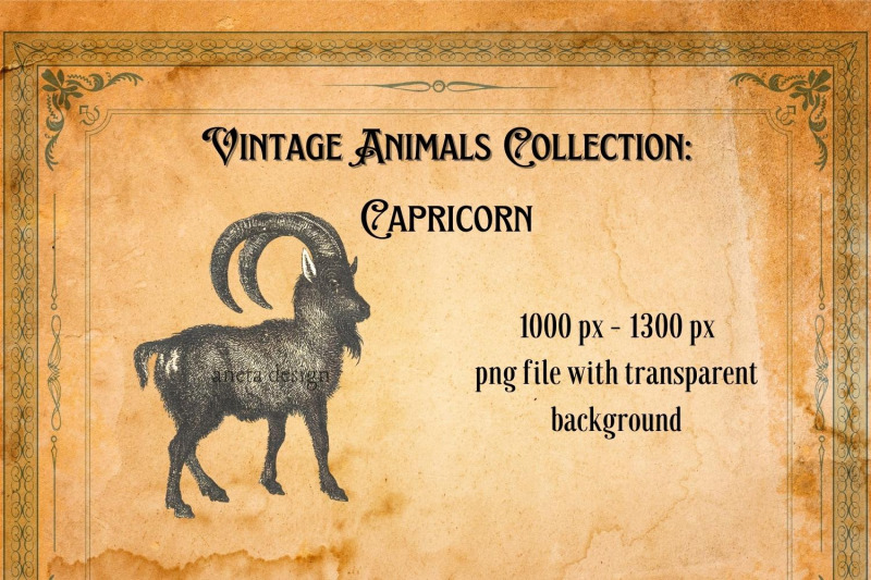 vintage-capricorn-illustration