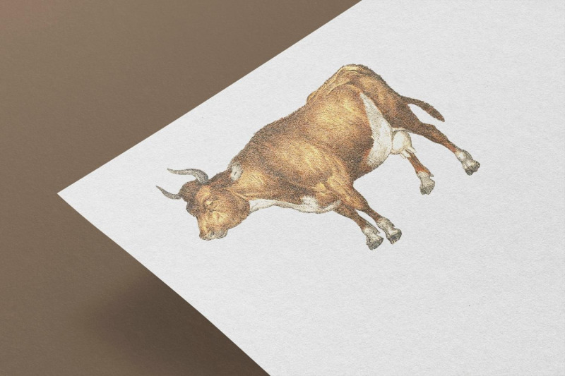 vintage-cow-illustration