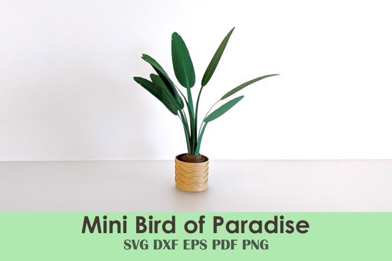 bird-of-paradise-mini-plant-template