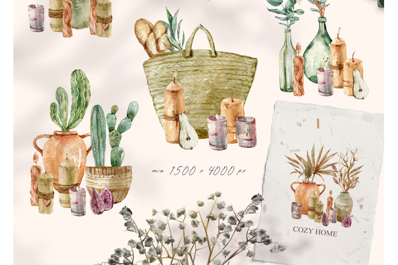 watercolor-boho-potted-plant-clipart-5-png-files