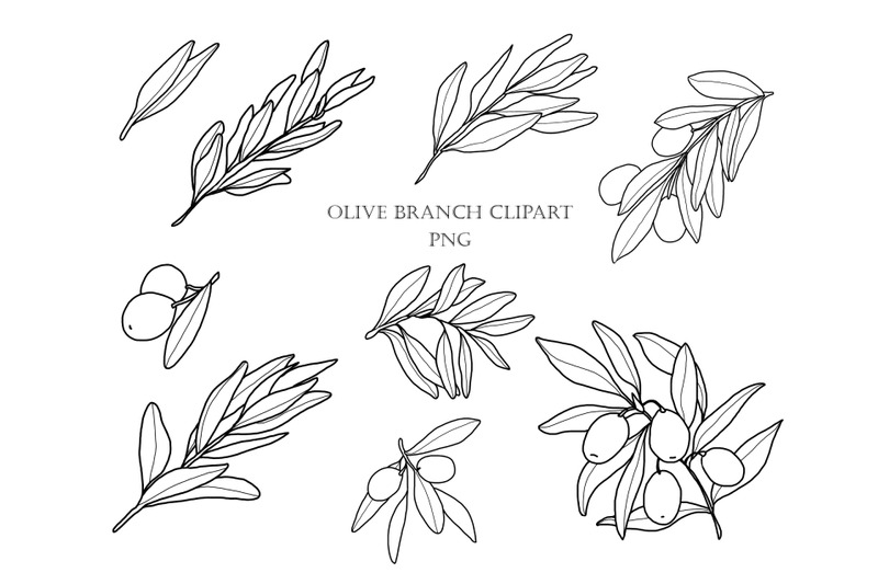 graphic-olives-png-files