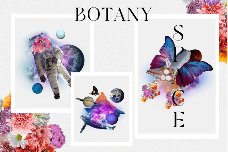 space-botany-collage-creator