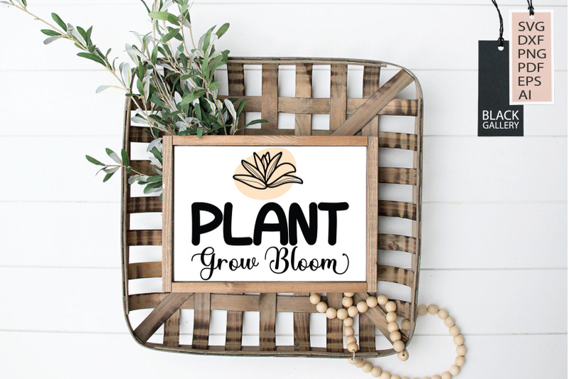 plant-grow-bloom