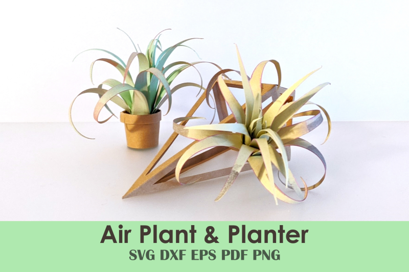 air-plant-and-planter-papercraft-template