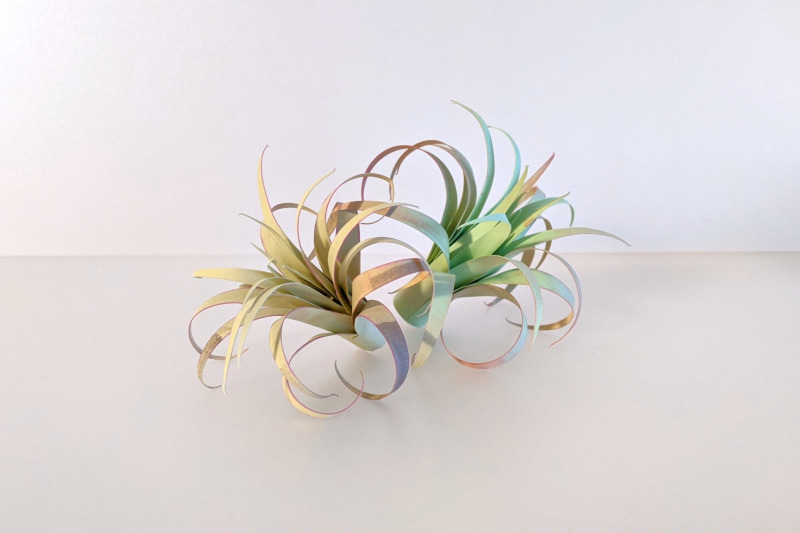 air-plant-and-planter-papercraft-template