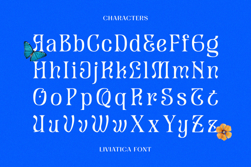 liviatica-display-font