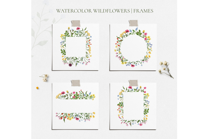 wildflowers-watercolor-collection