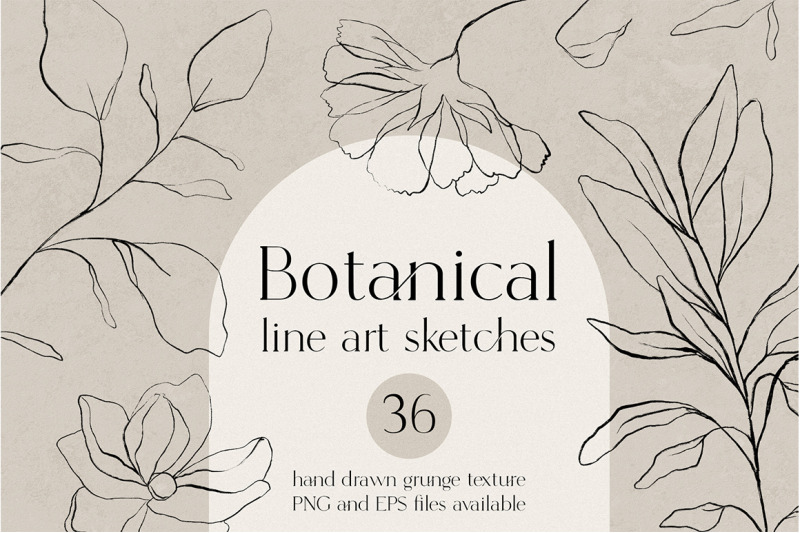 botanical-line-art-sketches