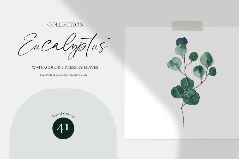 watercolor-eucalyptus-greenery-set