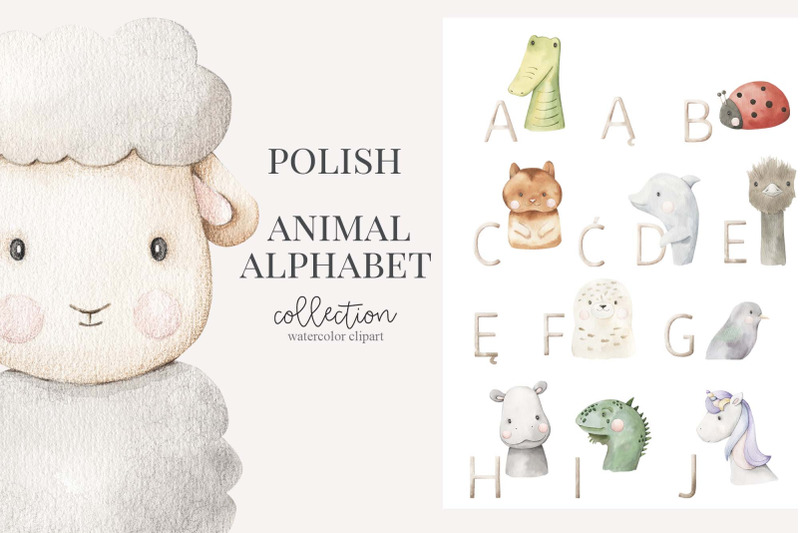 polish-animal-alphabet-watercolor-set