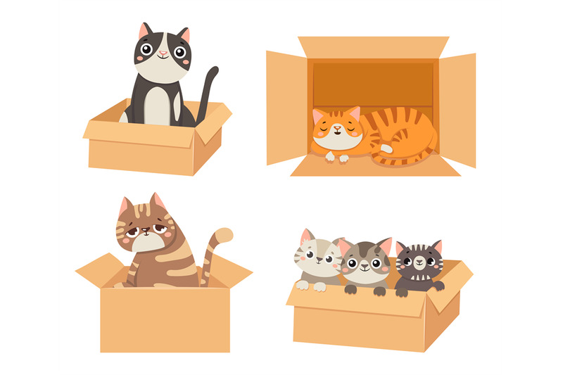 cats-in-boxes-animals-sitting-and-sleeping-in-cardboard-boxes-little