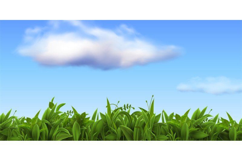 realistic-nature-landscape-with-fresh-grass-and-blue-sky-with-clouds