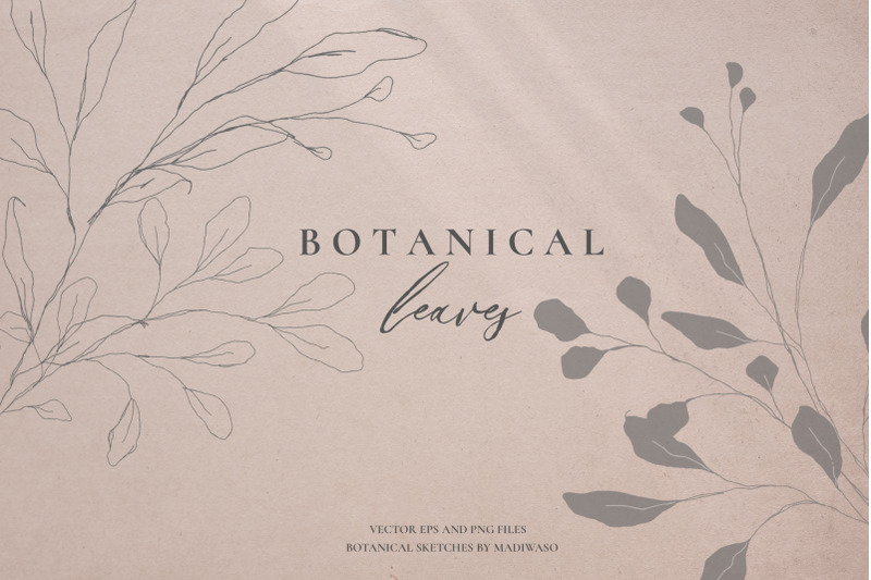 botanical-leaves-sketched-florals