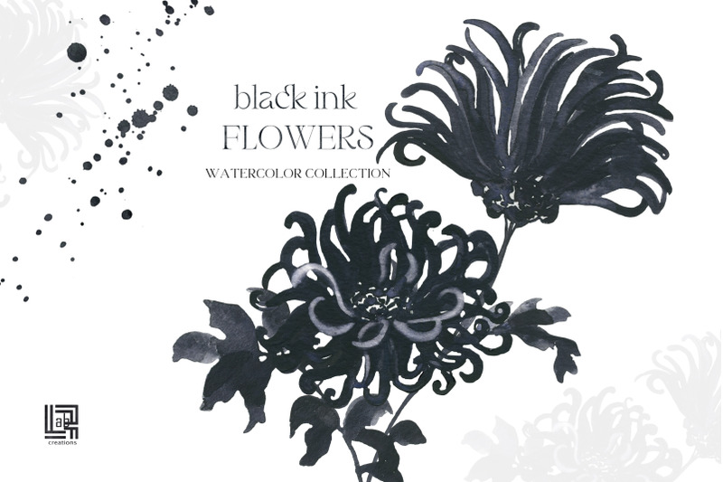 black-ink-flowers-watercolor-clipart